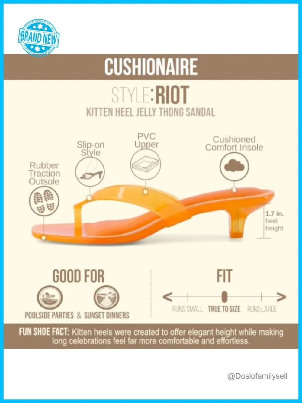 Sleek Translucent Jelly Kitten Heel Thong Sandals